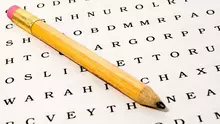 Word search activity